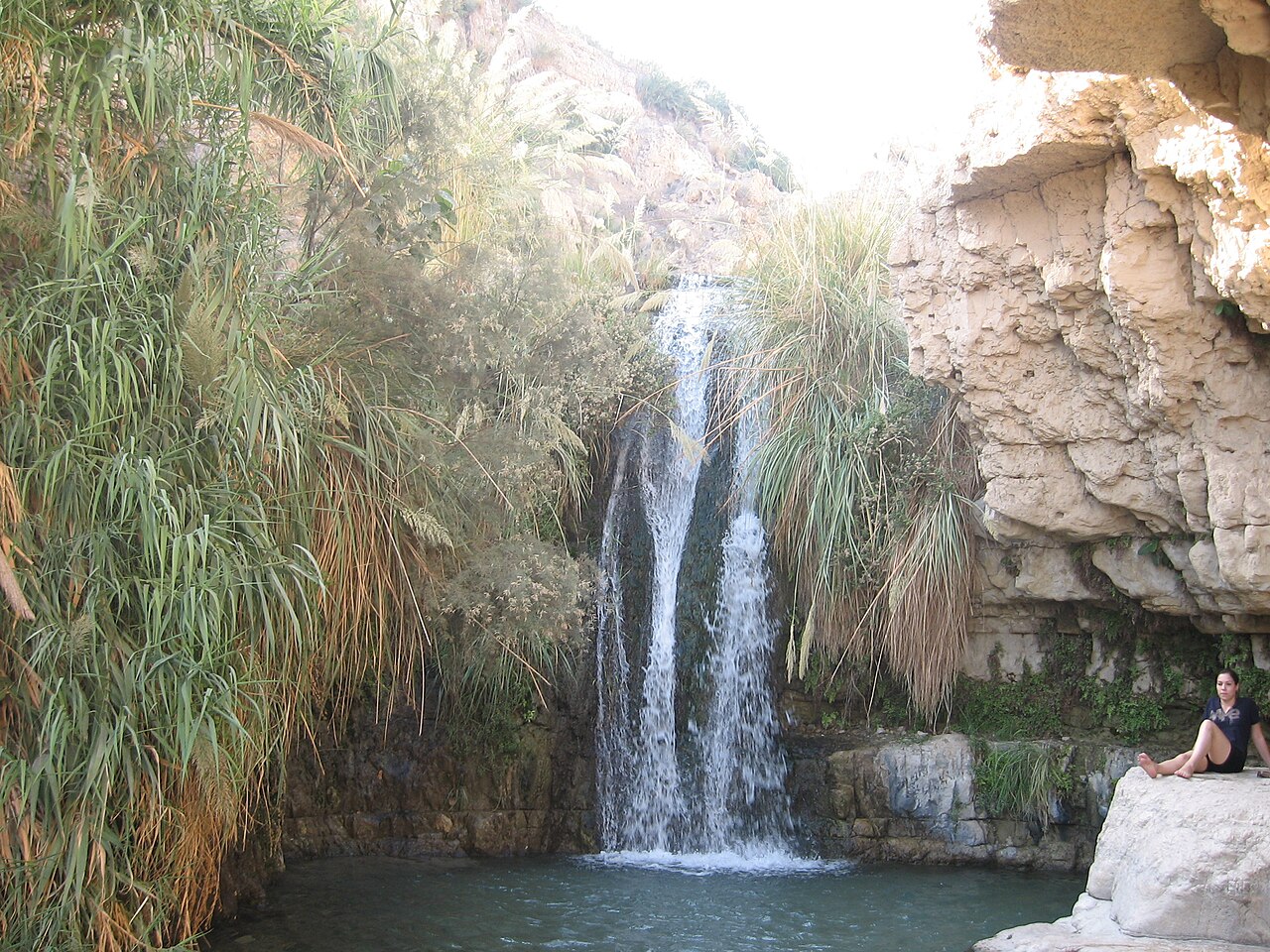 biblesites/eingedi.jpg