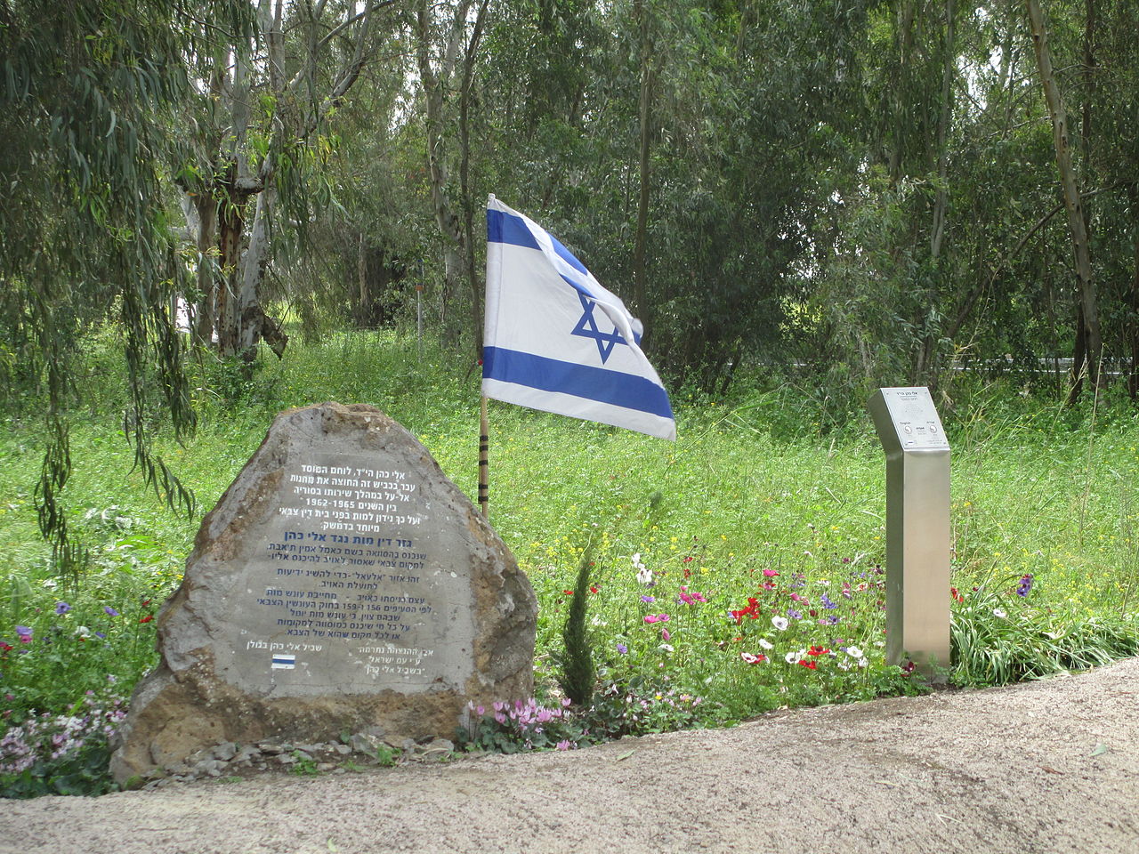 Camino Eli Cohen