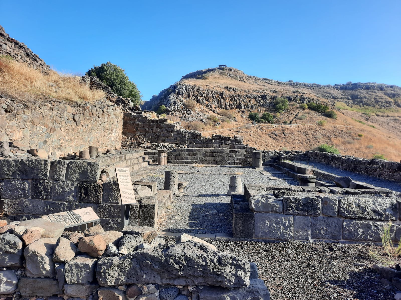 golan/gamla.jpeg