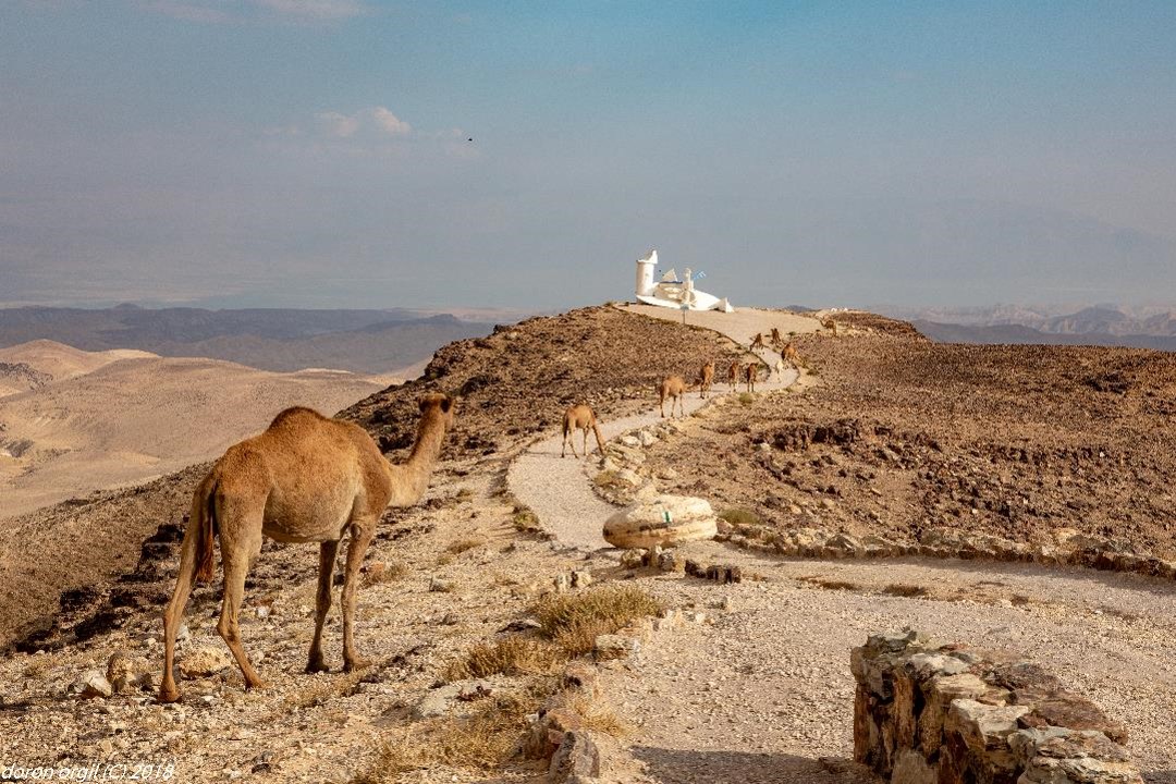 negev/telarad2.jpg